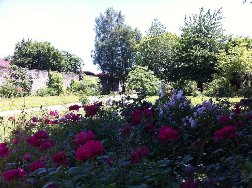 Le Clos De La Muse Saint-Junien Bagian luar foto
